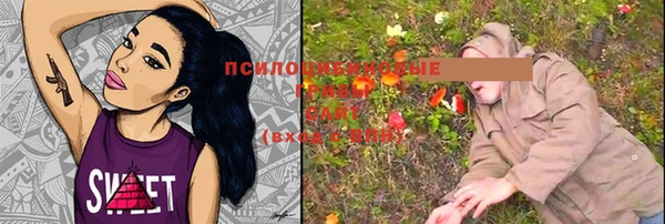 прущая мука Корсаков