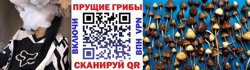 Галлюциногенные грибы GOLDEN TEACHER  Купить где  Абакан 